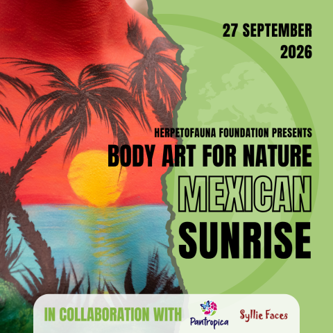 Bodyart Teaser 2026